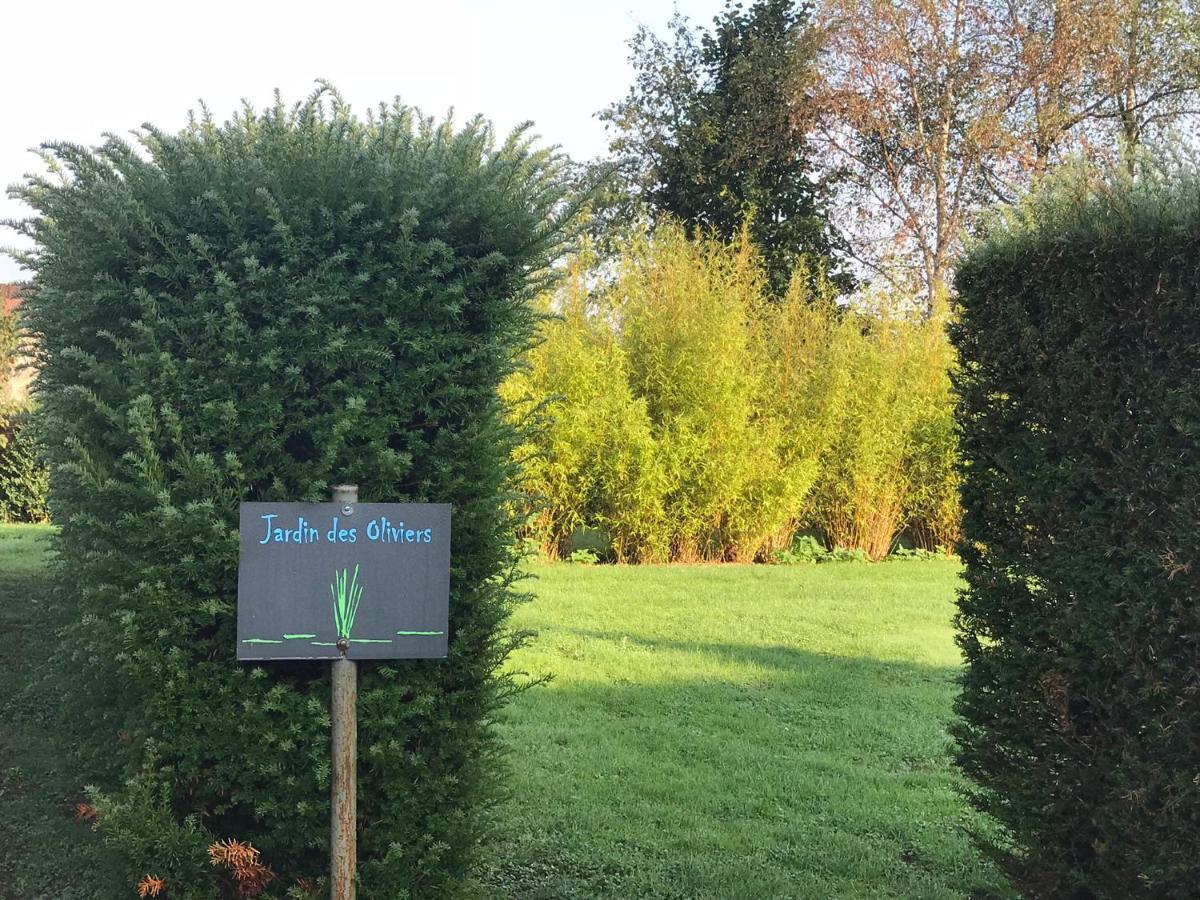 Les Jardins D'ilona - Les Oliviers - Ecocon * Arques (Pas-de-Calais)